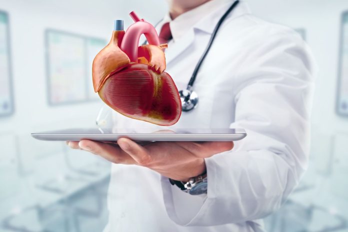 Cardiology and Heart Health Essentials