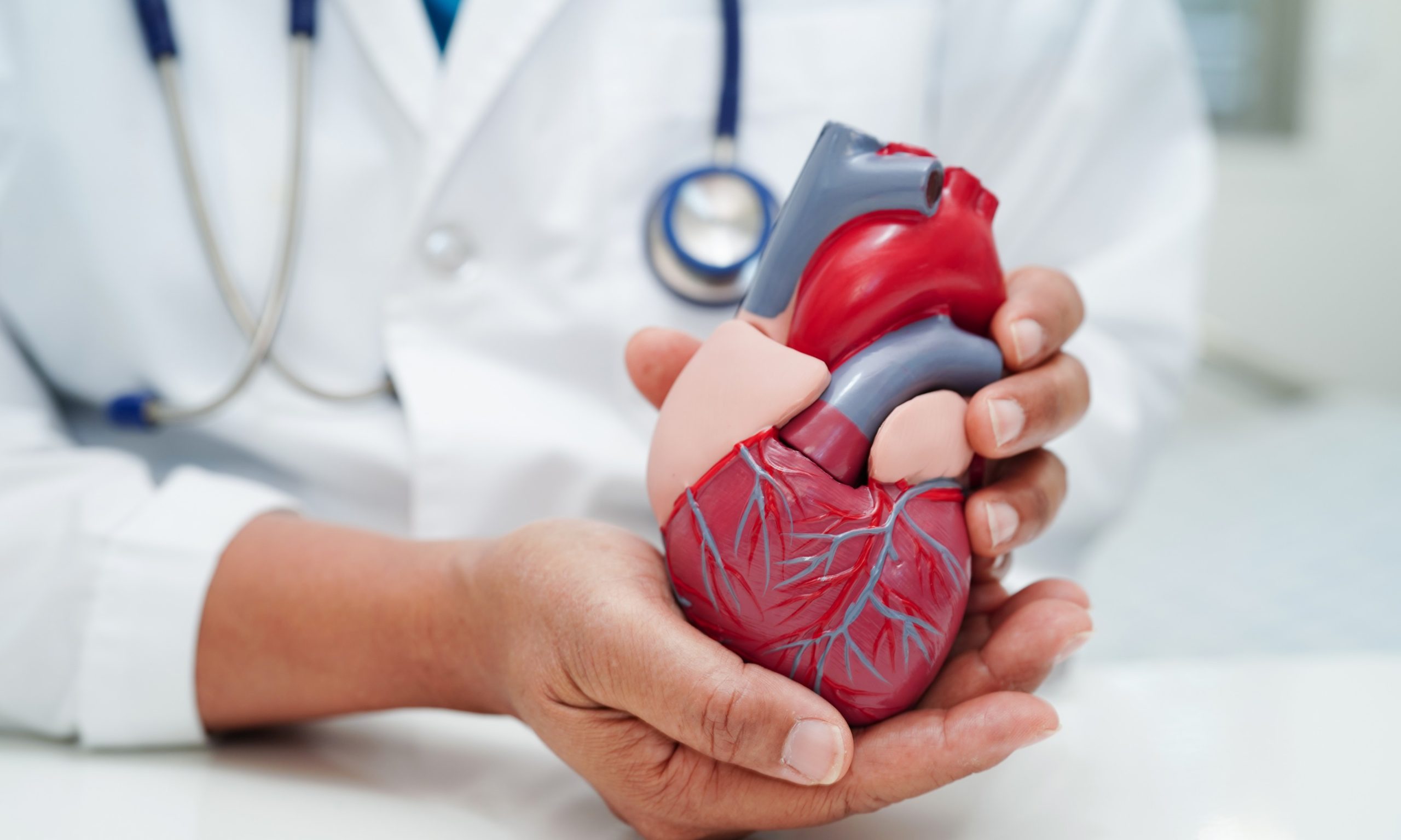 Cardiovascular Surgery