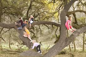 Microadventures And Their Growing Appeal In Everyday Life